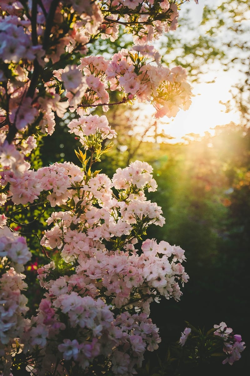 Whimsical Floral Arrangements